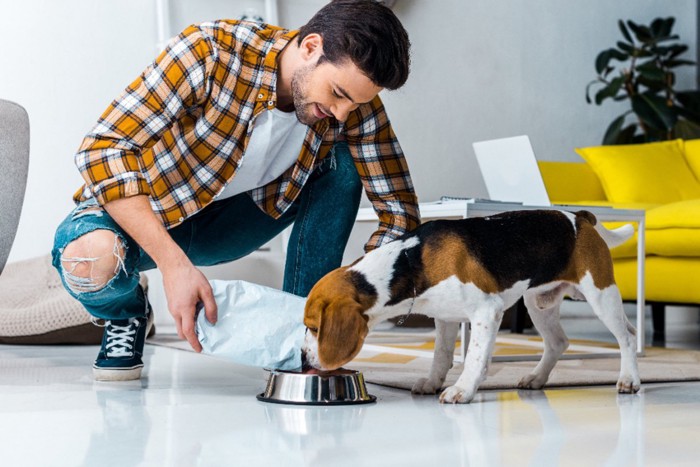 男性とドッグフード食べる犬