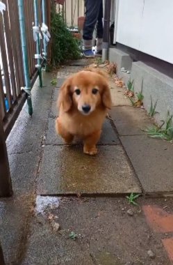 雪にテンション上昇