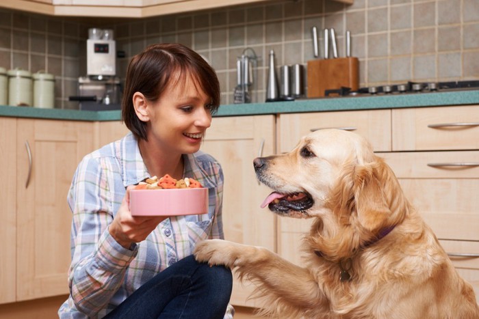 フードを持った女性と犬