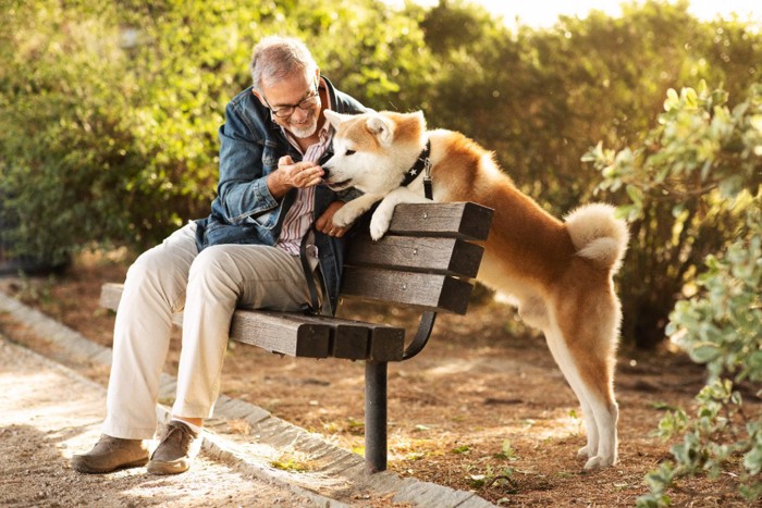 秋田犬と男性