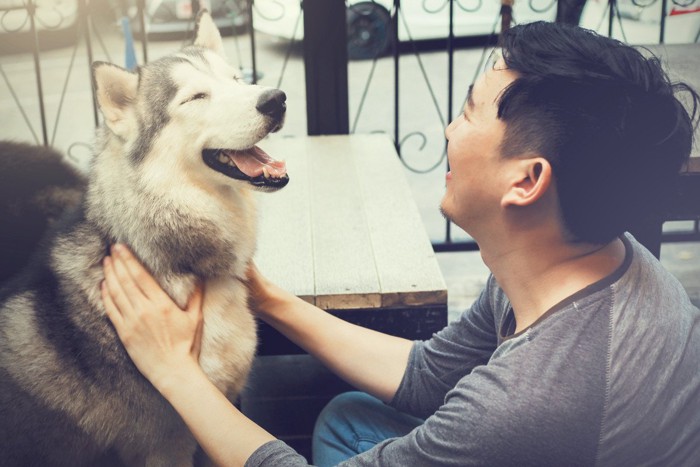 笑ってる犬と男性