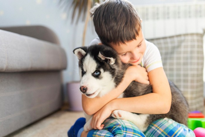 子犬を抱いている男の子