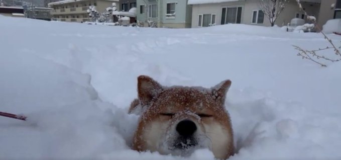 気持ちよさそう♡