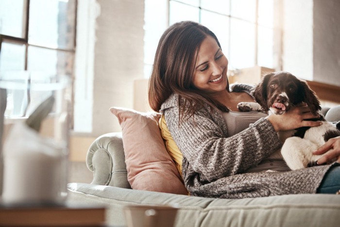 犬を撫でる女性