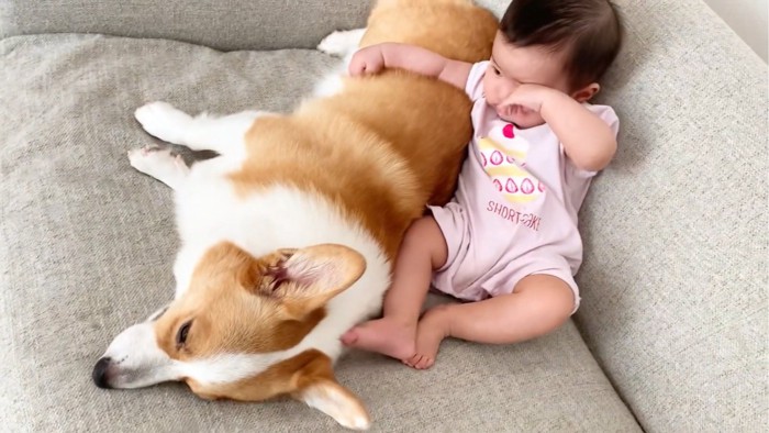 目をこする赤ちゃんと寝転ぶ犬