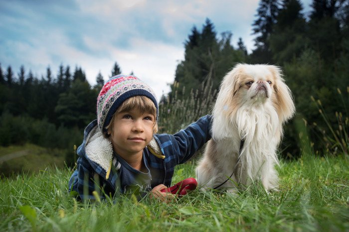 狆と男の子