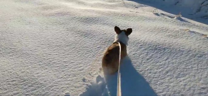 雪景色をジャンプ