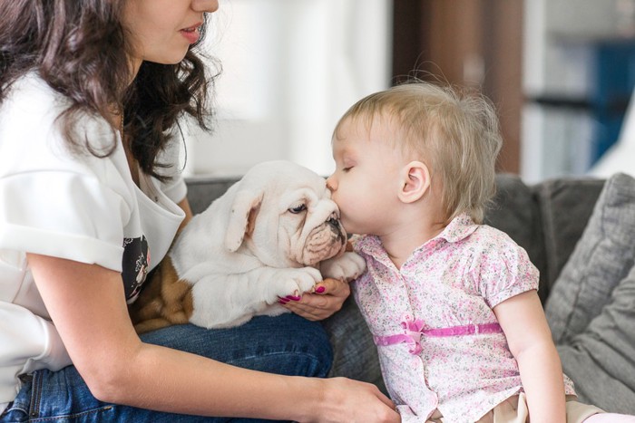 子供と犬