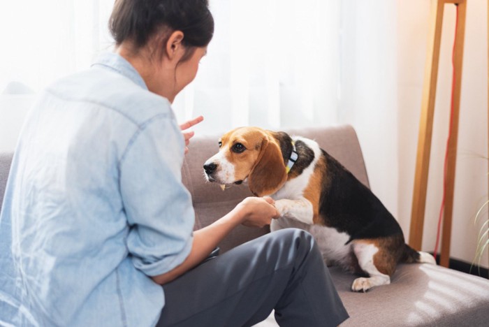 犬に指示する女性