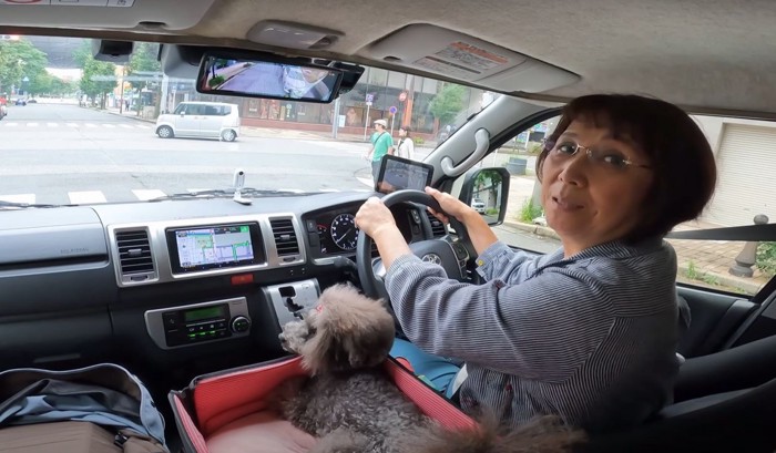 運転する人と犬