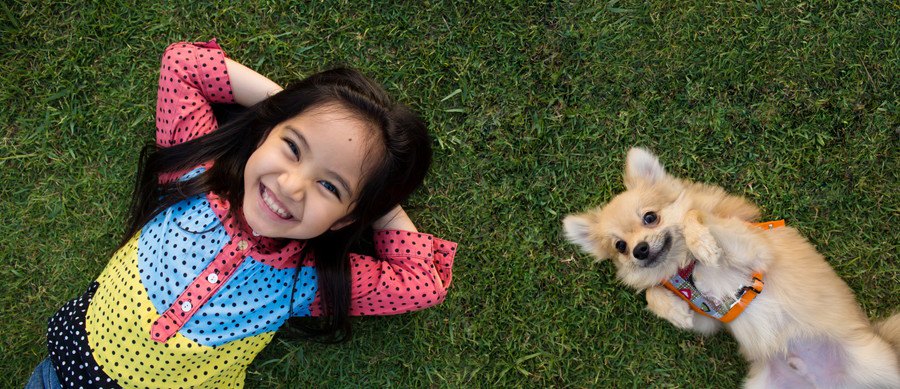 犬と子供