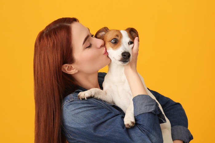 ジャックラッセルテリアにキスする女性