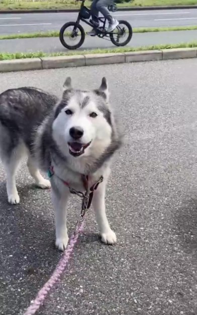 肝っ玉母さん