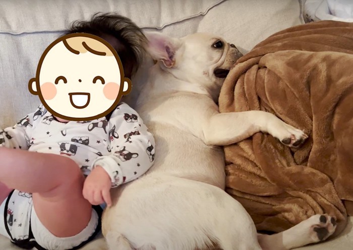 背中合わせに座る赤ちゃんと犬