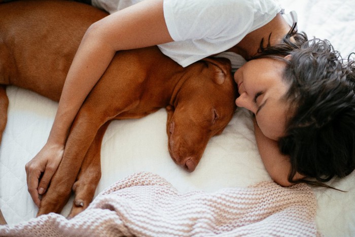 胸の中で添い寝する犬