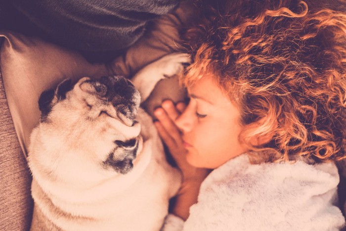 隣で眠る女性と犬