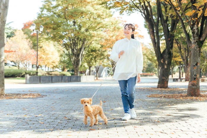 犬を散歩させる女性