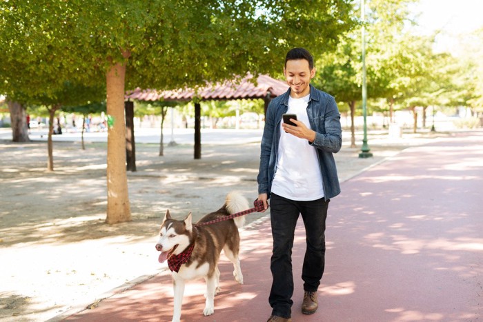 犬の散歩をしながらあるきスマホ中の男性