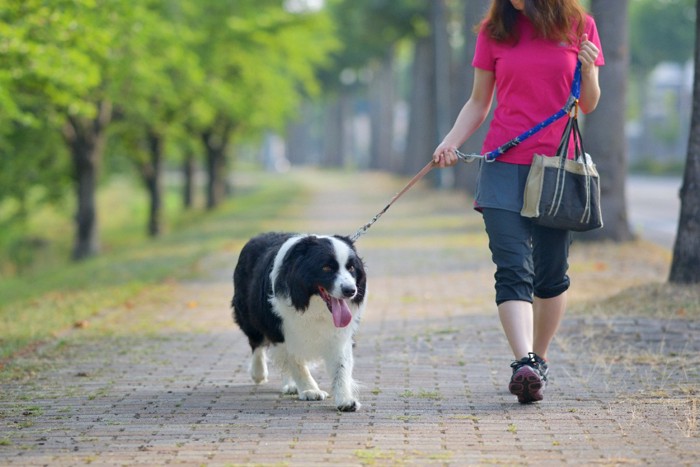 散歩する女性と犬