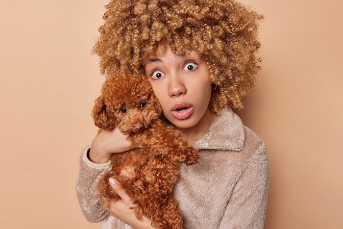 怖がる犬と女性