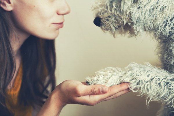 女性と手を合わせる犬