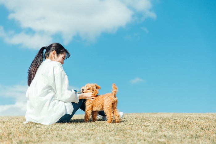 愛犬と遊ぶ女性 