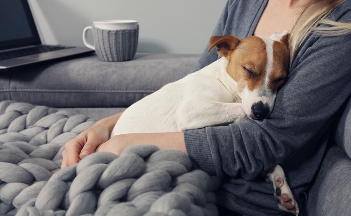 女性にハグされて眠る犬