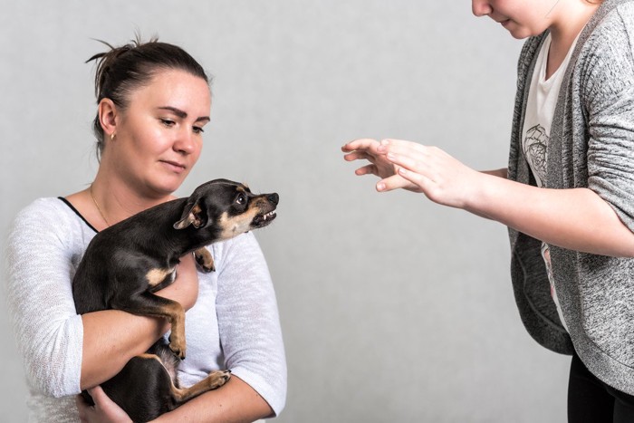 怖がる女性に威嚇する犬