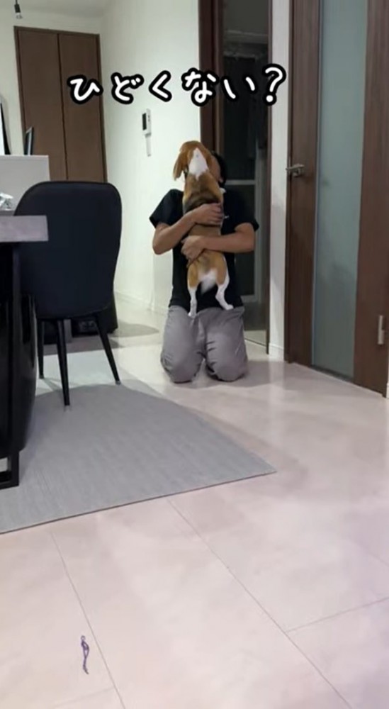 男性に抱きつく犬