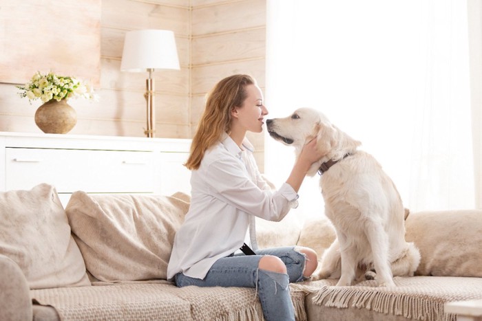 ソファの上で犬を撫でる女性