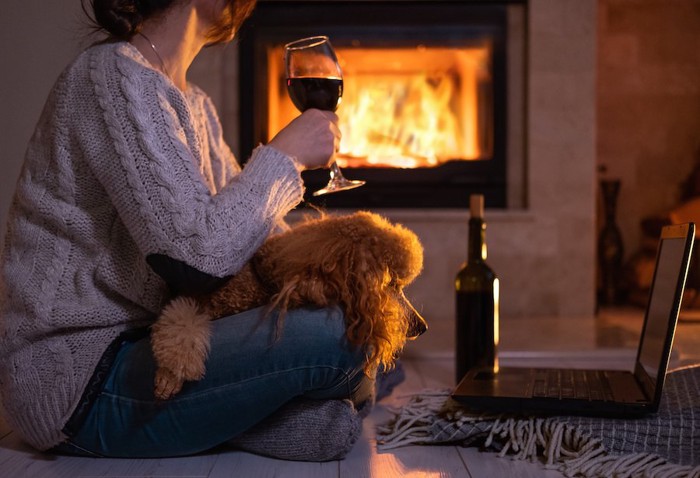 部屋でお酒を飲む女性とくつろぐ犬