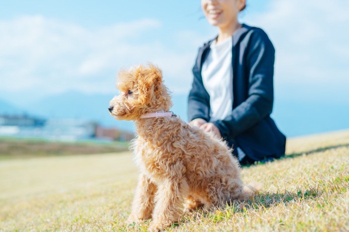 座る犬と女性