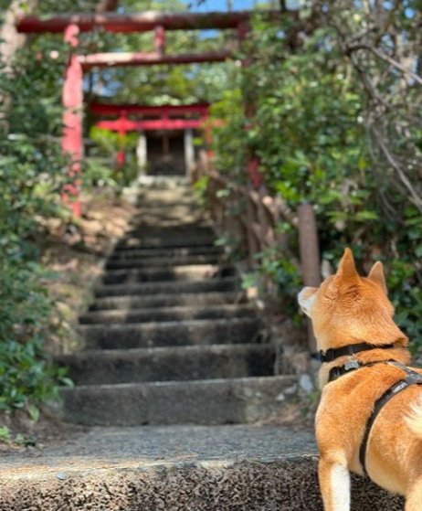 神々しい