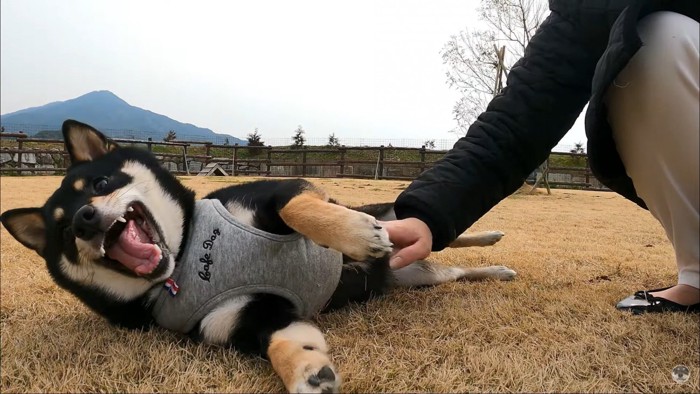 笑顔のあさちゃん