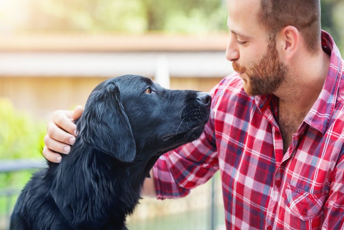 男性と犬