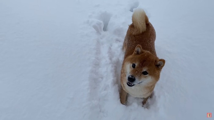 思わずこの笑顔♡