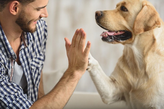 手と前足を合わせる男性と犬