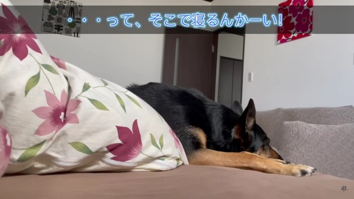 眠りながらママを守るよ