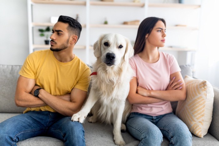 喧嘩中のカップルの間で仲裁する犬