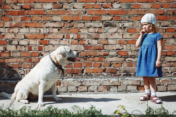 子供にこわがられる大型犬: