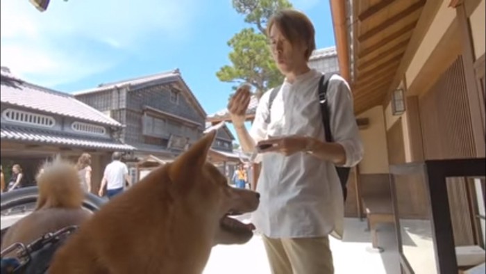 パイン大福を見つめるワンちゃん