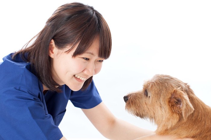 笑顔で見つめ合う女性と犬