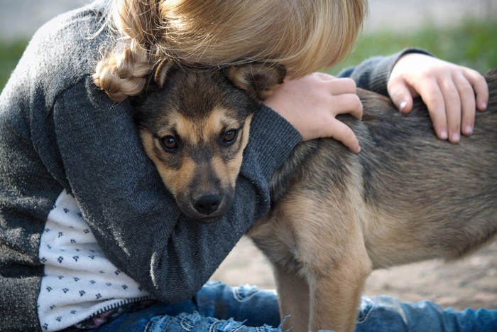 無理矢理ハグされる子犬