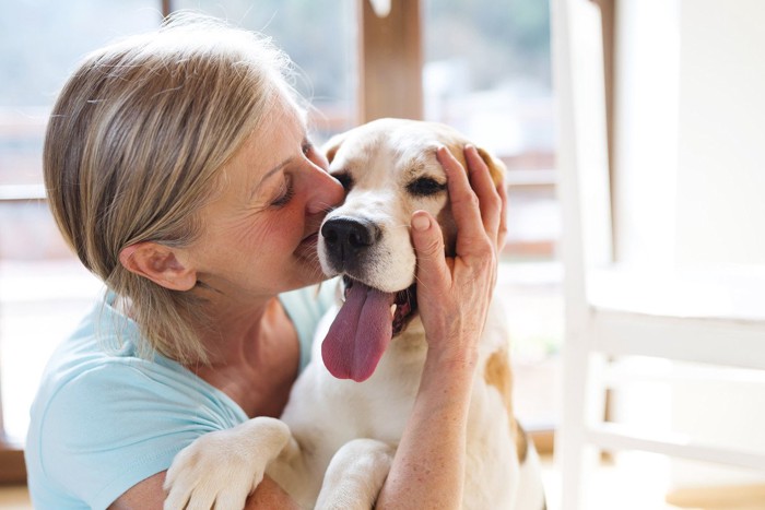 女性に甘える犬