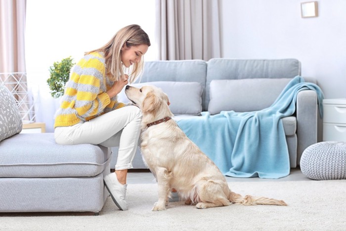 ソファに座る女性と犬