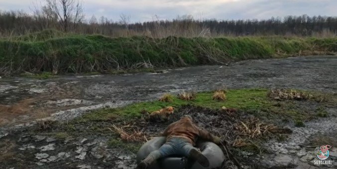 浮き輪に乗って犬に接近