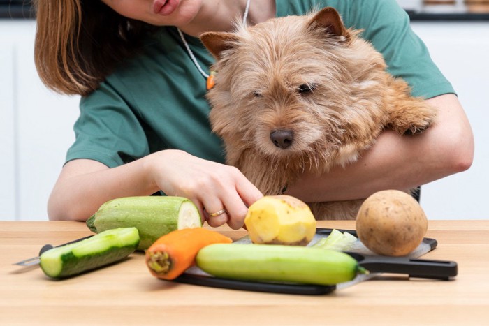 犬の前にじゃがいもなどの野菜