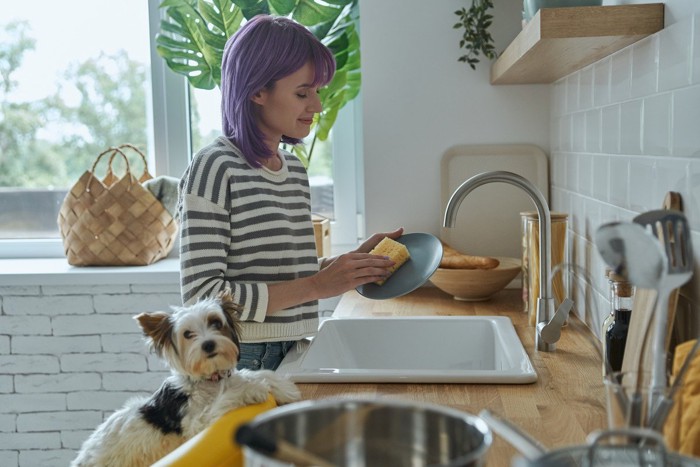 食器を洗う女性と犬