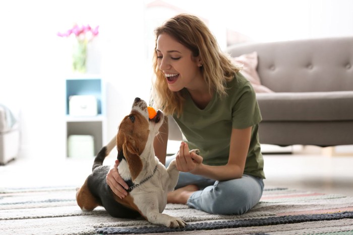 向き合う女性と犬