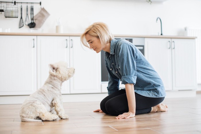 アイコンタクトを図る犬と女性